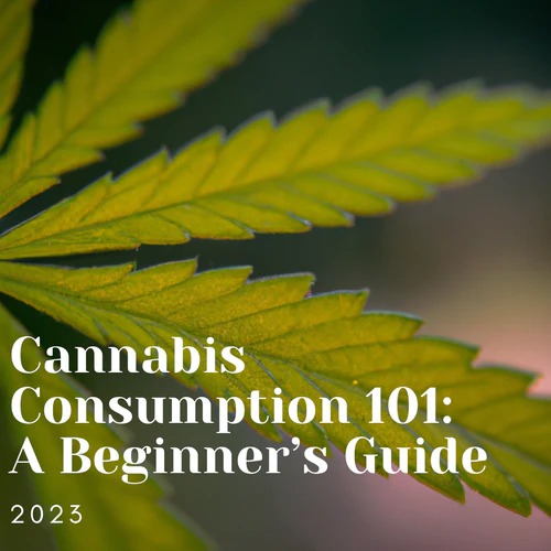 Cannabis Consumption 101: A Beginner’s Guide