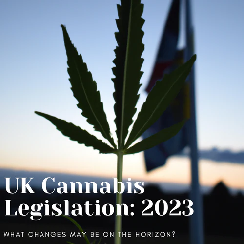 Cannabis Legislation in the UK: What Changes May Be on the Horizon in 2023?