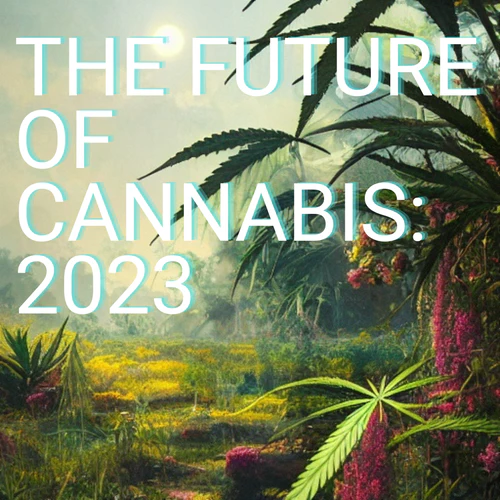 The Future of Cannabis: A Look into 2023