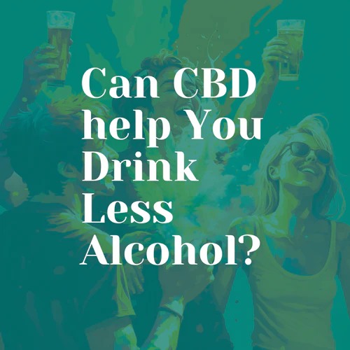 Can CBD help You Drink Less Alcohol