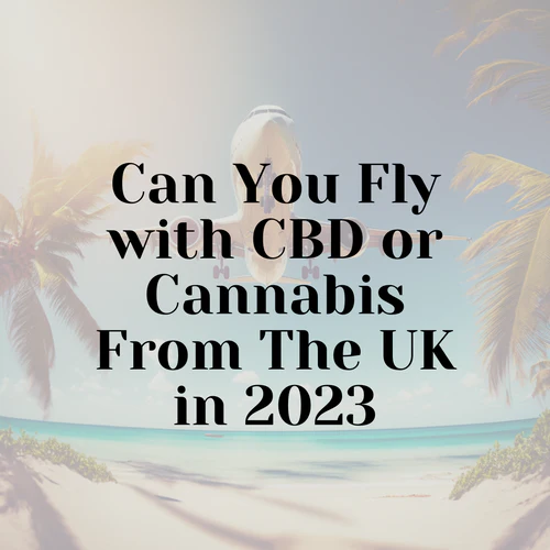 Can You Fly with CBD or Cannabis From The UK in 2023 A Comprehensive Guide