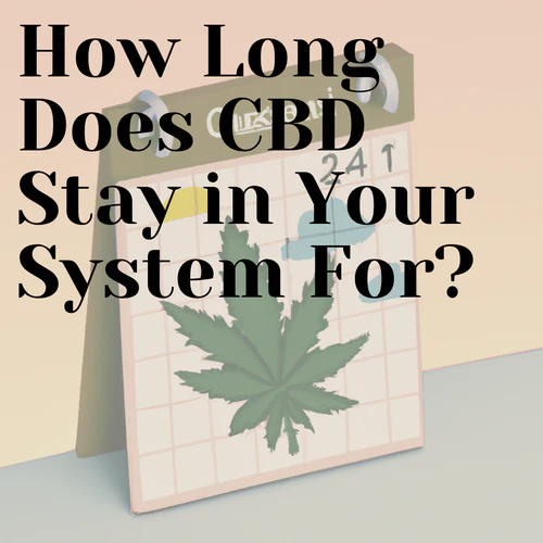 How Long Does CBD Stay in Your System For?