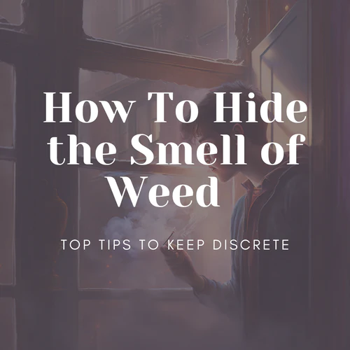 How To Hide the Smell of Weed - Top Tips to Keep Discrete