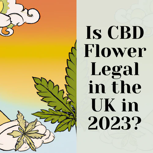 Is CBD Flower Legal in the UK in 2023?