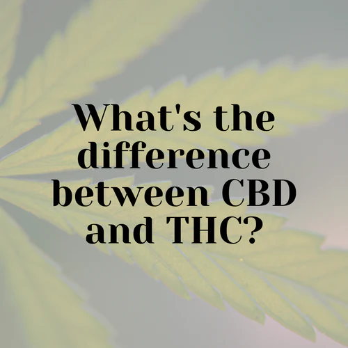 What's the difference between CBD and THC